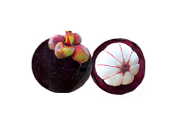 Delima Collagen - Pomegranate Collagen